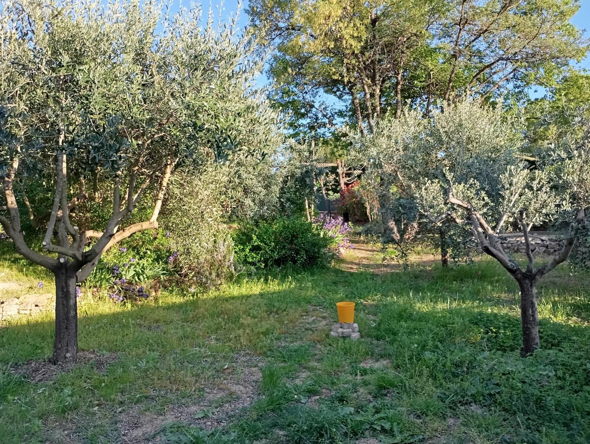 Апартаменти Studio 25M2 Avec Piscine Et Spa, Proche Iter Et Cadarache Валансоль Екстер'єр фото